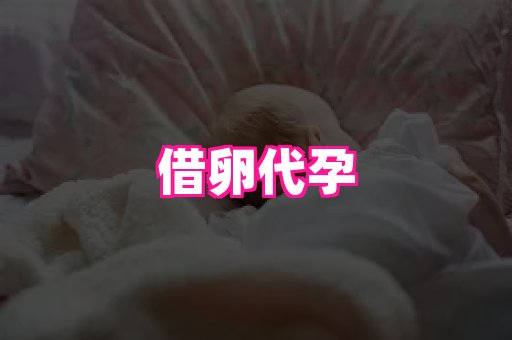 点点助孕网 1