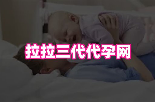 点点助孕网 2