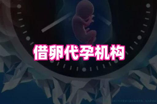 点点助孕网 3