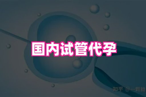 点点助孕网 4